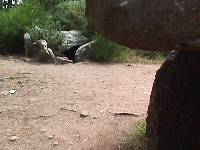 Man� Kerrioned dolmen
